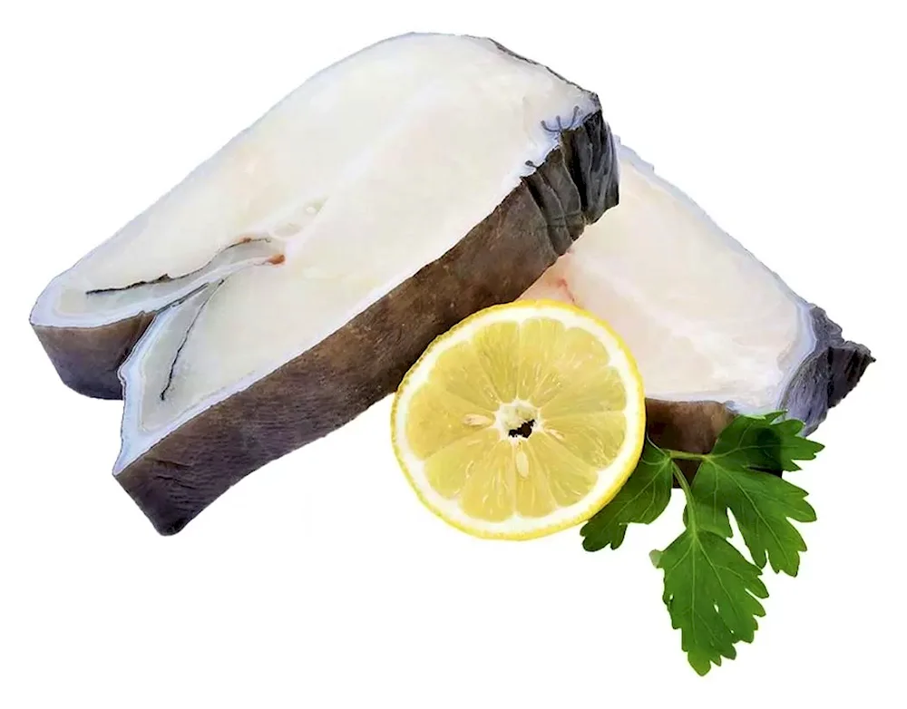 Submarine fish steak