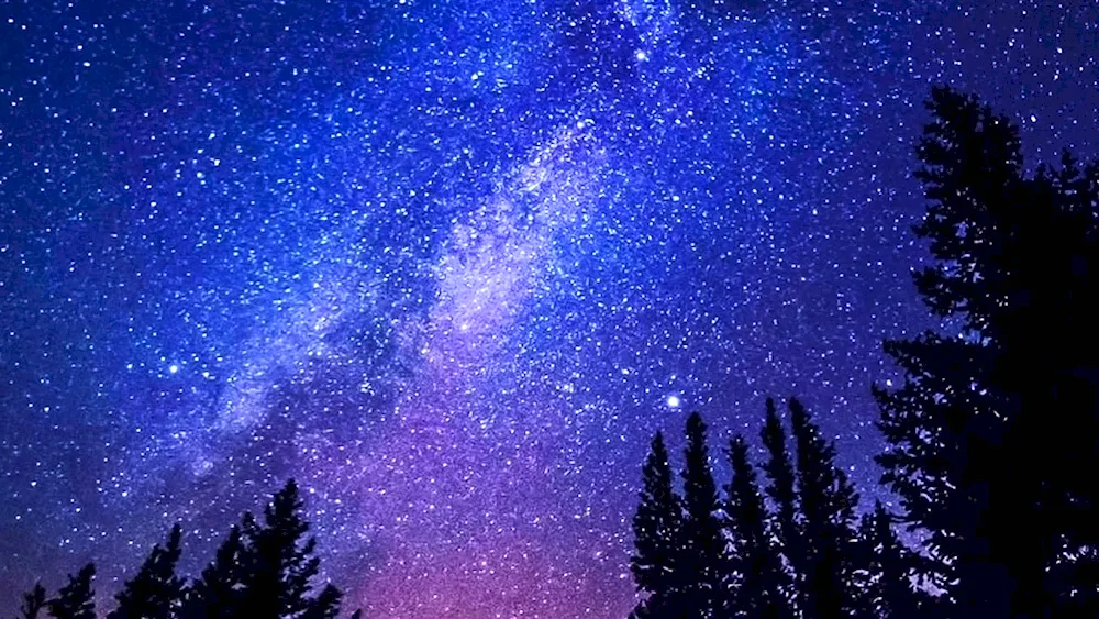 Starry Sky