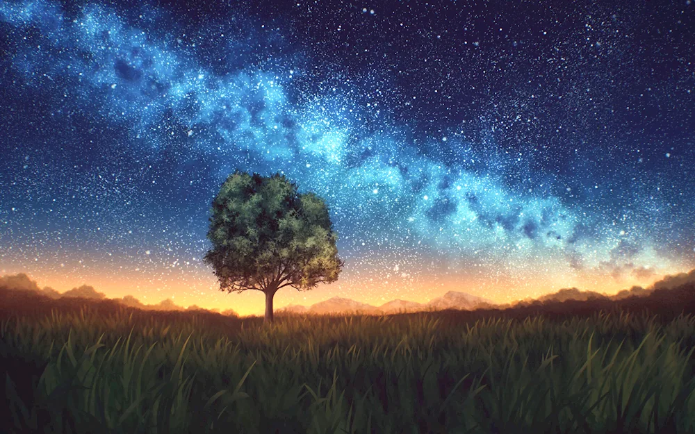 Starry sky