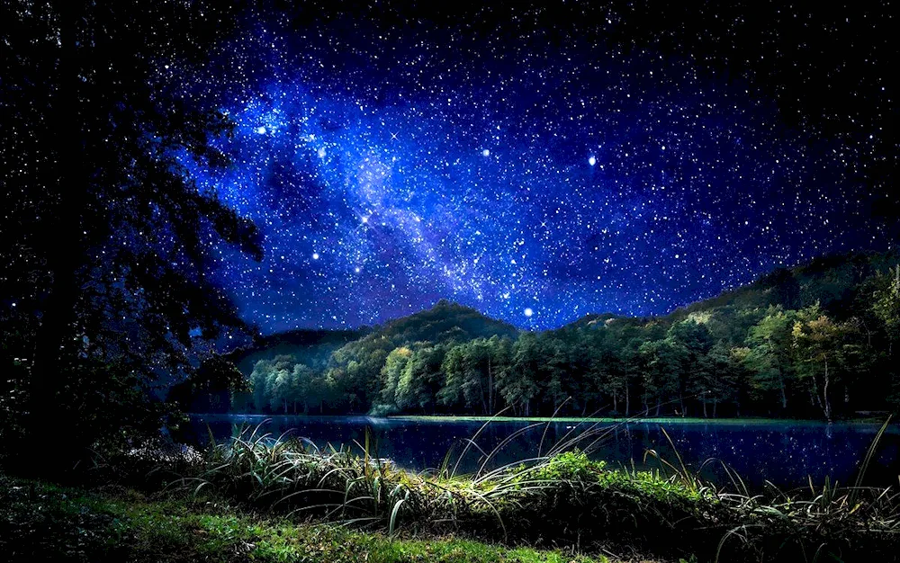 Starry Sky