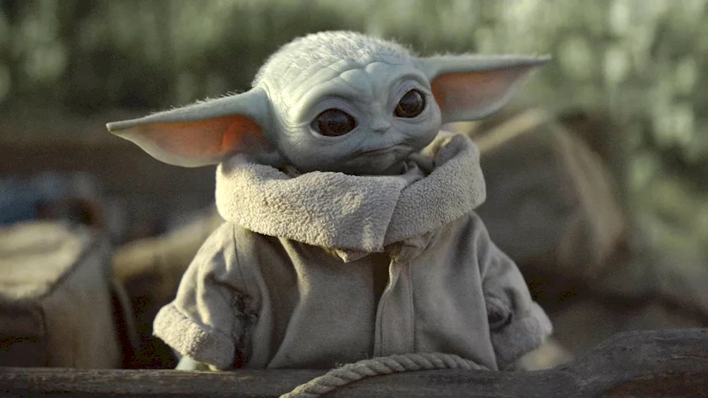 Star Wars babe yoda