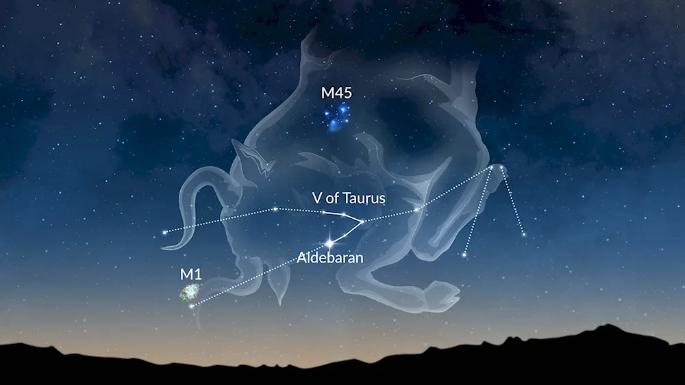 Star Taurus
