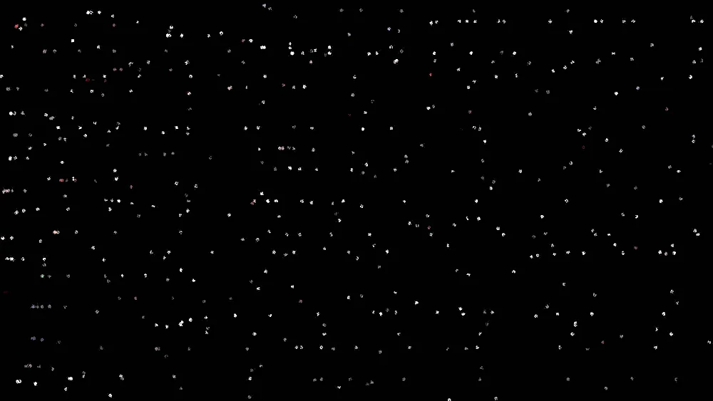 Stars on black background